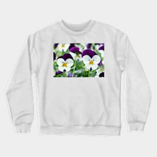 Viola  Rocky White with Purple Wings  Rocky series Crewneck Sweatshirt